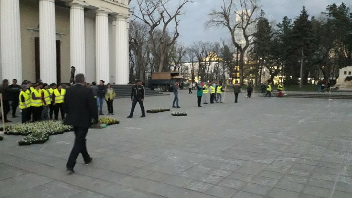 В центре Кишинёва появился ковёр из 200 тысяч фиалок: фото