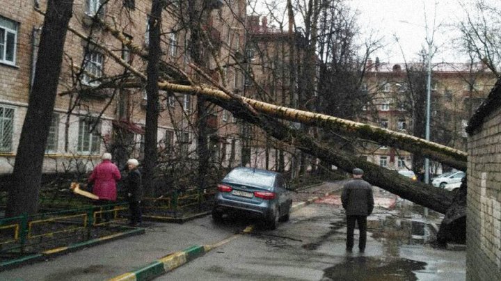 Опубликованы кадры последствий мощного урагана в Москве