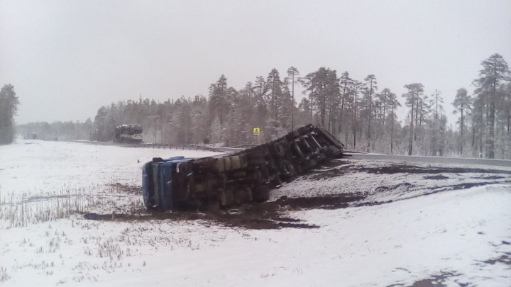 "Пришлось уходить в болото, иначе – мясо…": На трассе в Карелии легковушка столкнулась с большегрузом (фото)