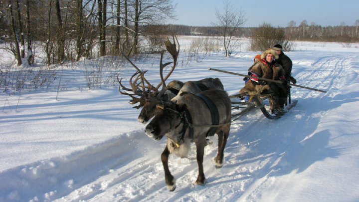 Польские туристы на оленях проехали Якутию, чтобы пожениться