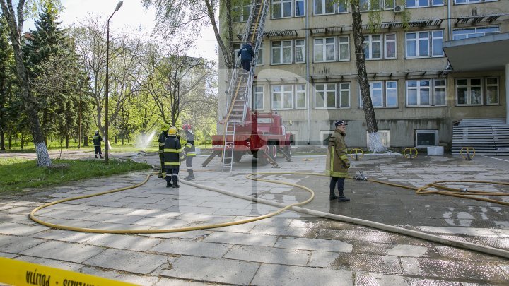 Эксперты оценили ущерб после крупного пожара в Институте зоологии (фото) 