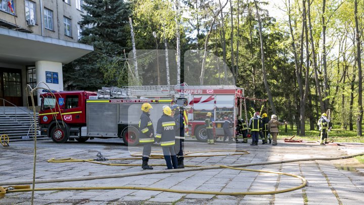 Эксперты оценили ущерб после крупного пожара в Институте зоологии (фото) 