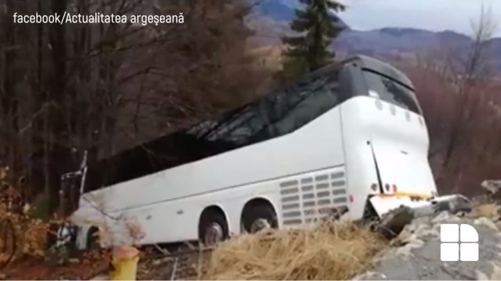 В Брашове пассажирский автобус врезался в дерево: есть пострадавшие (видео)