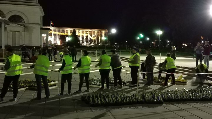 В центре Кишинёва появился ковёр из 200 тысяч фиалок: фото