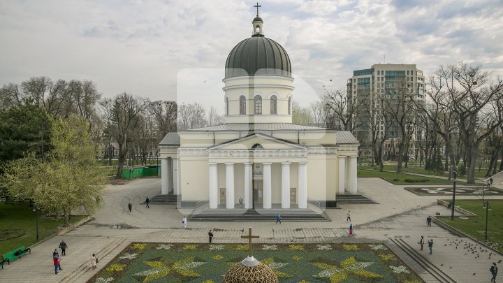 В центре Кишинёва появился ковёр из 200 тысяч фиалок: фото