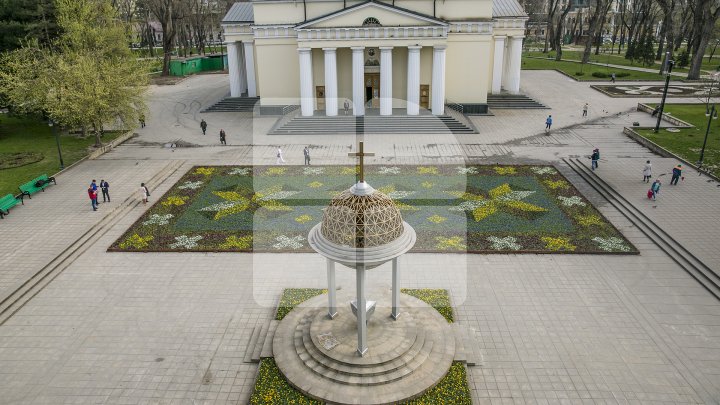 В центре Кишинёва появился ковёр из 200 тысяч фиалок: фото