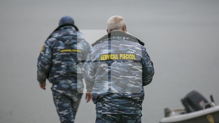 В водохранилище в Голерканах выпустили около четырех тонн мальков