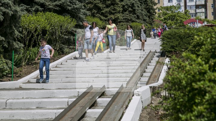 В столичном зоопарке впервые за 15 лет прошел ремонт: фоторепортаж 