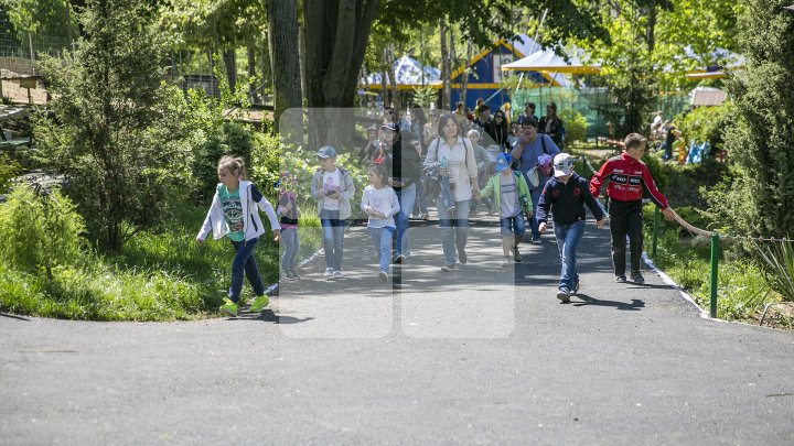 В столичном зоопарке впервые за 15 лет прошел ремонт: фоторепортаж 