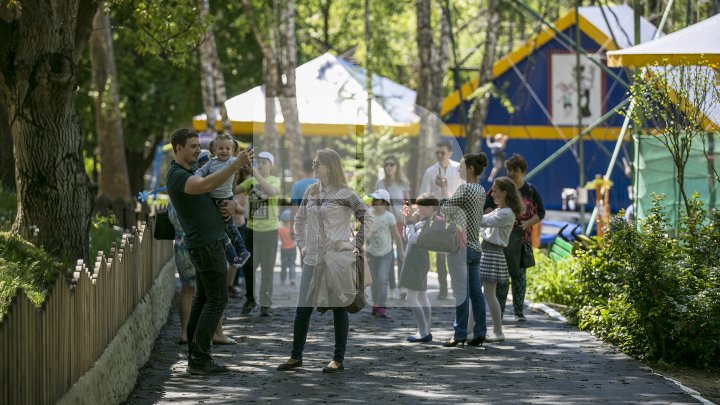 В столичном зоопарке впервые за 15 лет прошел ремонт: фоторепортаж 