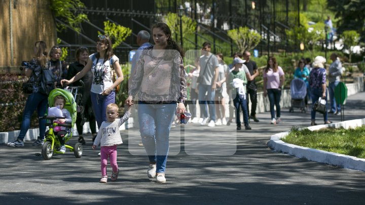 В столичном зоопарке впервые за 15 лет прошел ремонт: фоторепортаж 