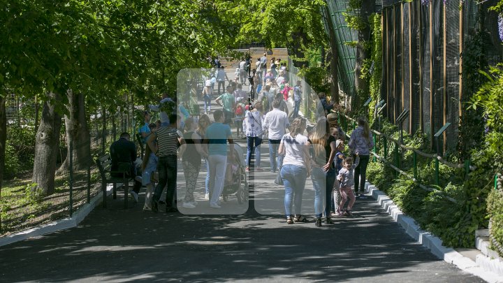 В столичном зоопарке впервые за 15 лет прошел ремонт: фоторепортаж 