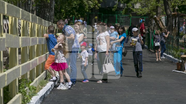 В столичном зоопарке впервые за 15 лет прошел ремонт: фоторепортаж 