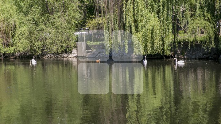 Посетителям столичного зоопарка представили крокодила-долгожителя (фото)