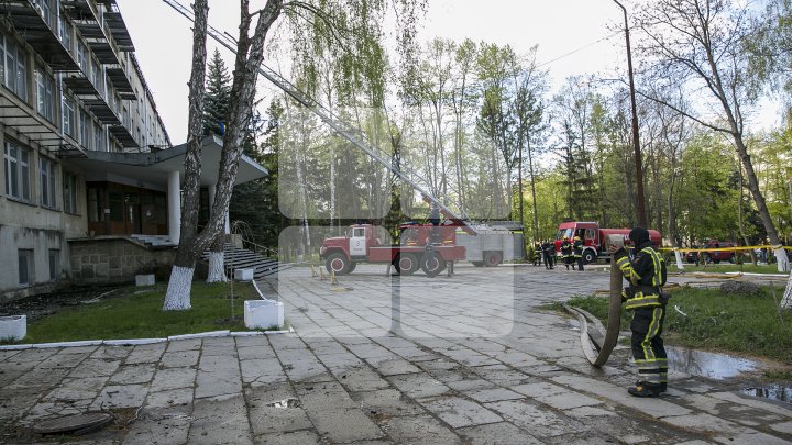 Последствия крупного пожара в Институте зоологии Академии наук показали на фото