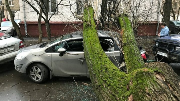 Опубликованы кадры последствий мощного урагана в Москве