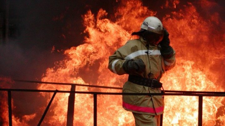 Под Новосибирском загорелся детский лагерь