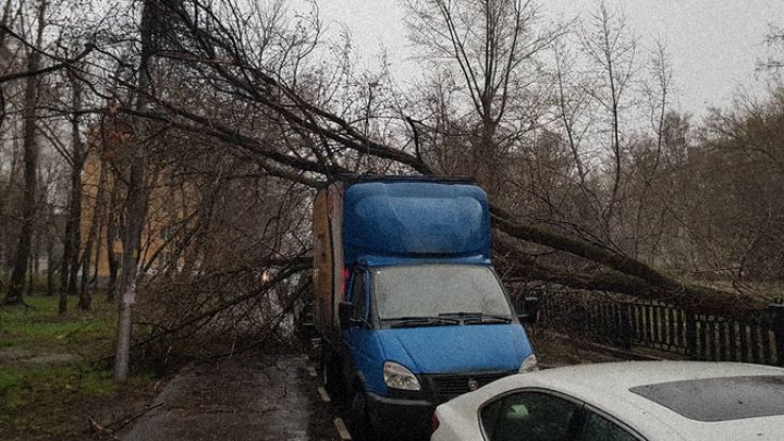 Опубликованы кадры последствий мощного урагана в Москве