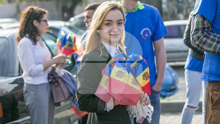 Молодые демократы поздравили с Днём государственного флага водителей и прохожих