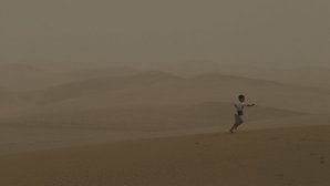 В Индии во время песчаной бури погибли более 100 человек 