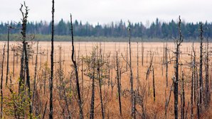 В Коми на болоте затонул вездеход, шесть человек пропали без вести