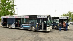Автобусы, предоставленные мэрией Бухареста, уже неделю ходят по городу