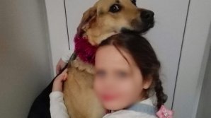 Чудовищное преступление: 8-летнюю девочку убил 54-летний сосед