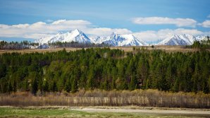 В Бурятии на месте исчезновения ребёнка обнаружена надпись "умрёт"