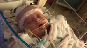 Мяч попал в голову новорождённой девочке во время матча (фото) 