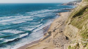 Двухлетний мальчик из Москвы впал в кому во время отдыха в Португалии