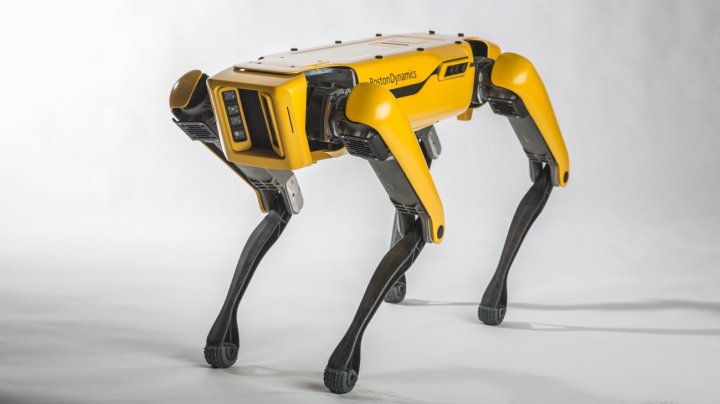 Стала известна дата продаж роботов-собак от Boston Dynamics