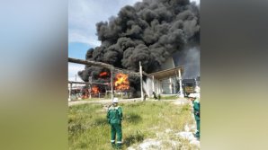 Крупный пожар на лесопромышленном комплексе в Братске попал на видео 