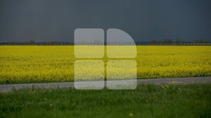 Проливные дожди с градом обрушатся на Молдову в среду