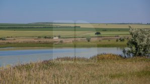 Жара не отступает: Желтый код из-за засухи оставили в силе до 18 июня