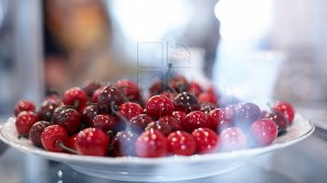 В воскресенье в селе Русештий Ной Яловенского района откроется фестиваль черешни