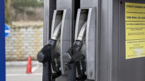 НАРЭ опубликовало новые цены на топливо и объяснило механизм их расчёта