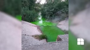 Вода в озере на Рышкановке окрасилась в ярко зеленый цвет