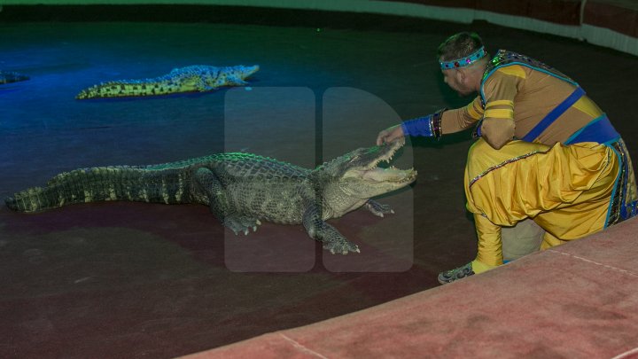 Грандиозное цирковое шоу устроили для 1300 детей из социально-уязвимых семей: фоторепортаж