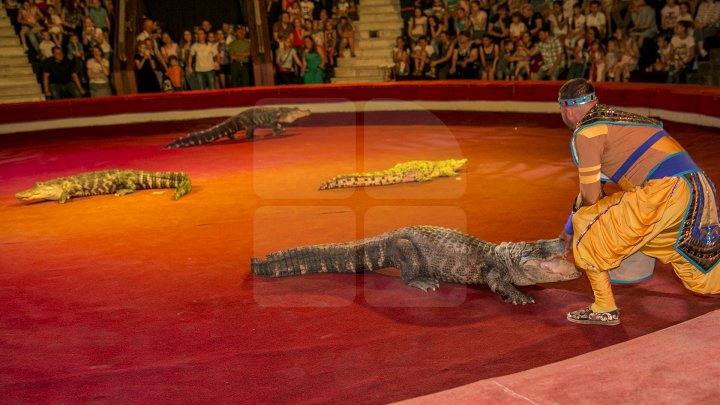 Грандиозное цирковое шоу устроили для 1300 детей из социально-уязвимых семей: фоторепортаж