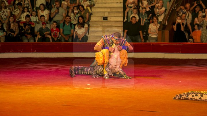 Грандиозное цирковое шоу устроили для 1300 детей из социально-уязвимых семей: фоторепортаж