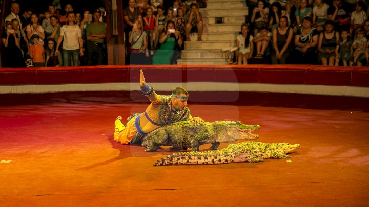 Грандиозное цирковое шоу устроили для 1300 детей из социально-уязвимых семей: фоторепортаж