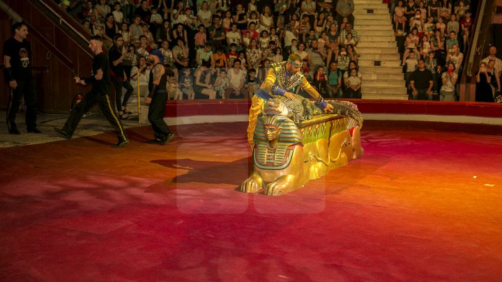 Грандиозное цирковое шоу устроили для 1300 детей из социально-уязвимых семей: фоторепортаж