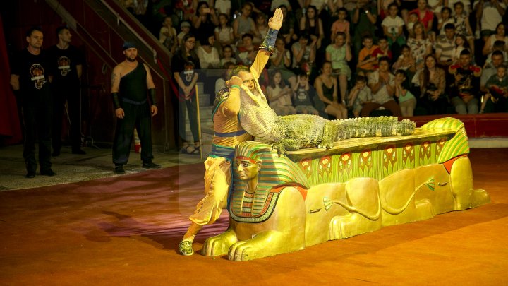 Грандиозное цирковое шоу устроили для 1300 детей из социально-уязвимых семей: фоторепортаж