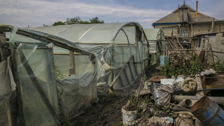 В Каушанского районе мощный ливень уничтожил урожай на сотни тысяч леев: фоторепортаж