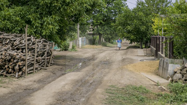 В Каушанского районе мощный ливень уничтожил урожай на сотни тысяч леев: фоторепортаж