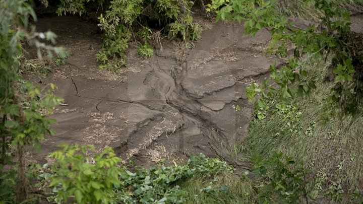 В Каушанского районе мощный ливень уничтожил урожай на сотни тысяч леев: фоторепортаж