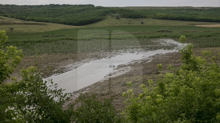 В Каушанского районе мощный ливень уничтожил урожай на сотни тысяч леев: фоторепортаж