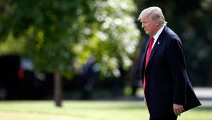 В Шотландии задержали парапланериста, пролетевшего над головой Трампа