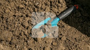 Жители Костешт наткнулись на человеческие кости