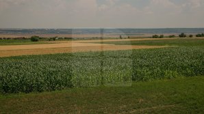 В Молдове растет число сторонников органического земледелия